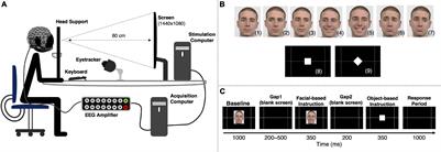 An Action-Independent Role for Midfrontal Theta Activity Prior to Error Commission